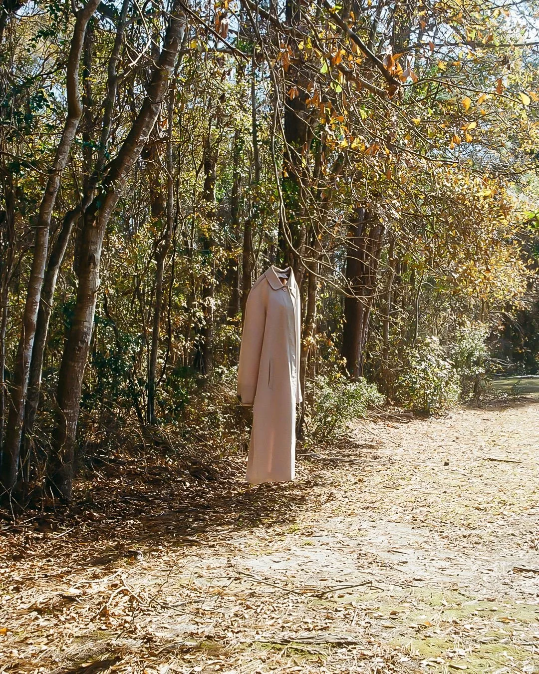 Untitled design (1).jpg