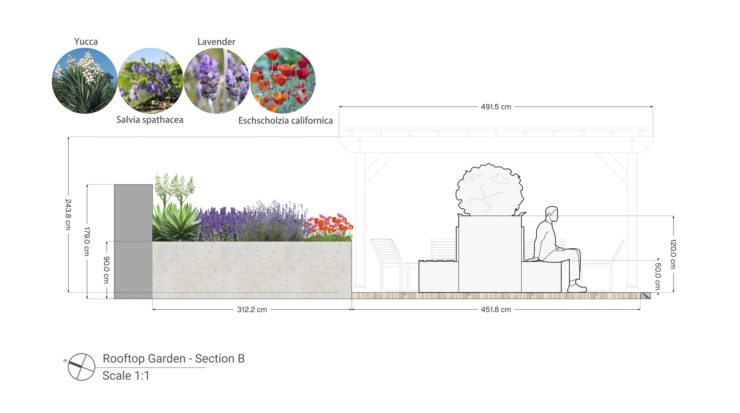 FINAL social area section.png