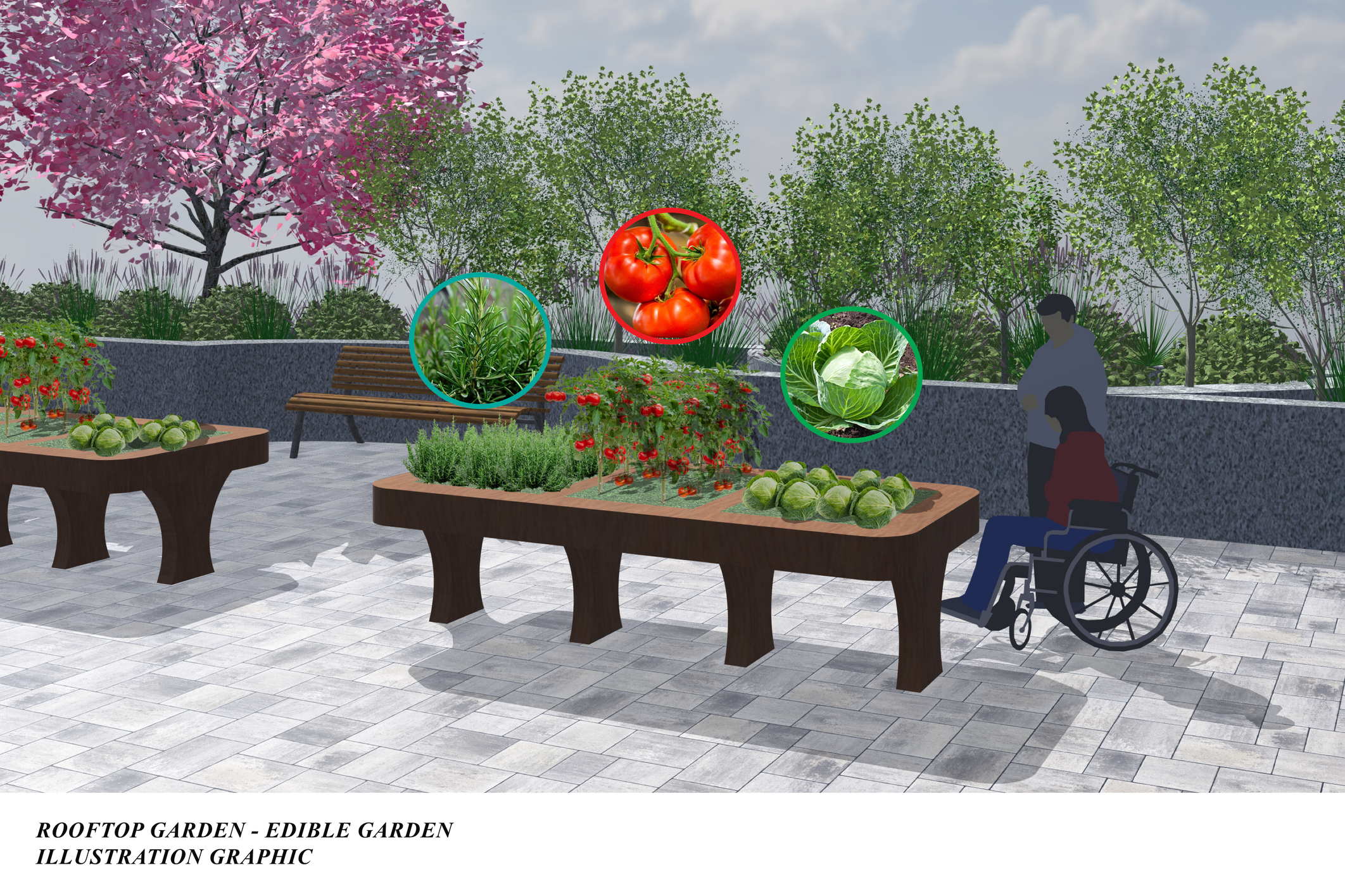 edible garden with annotation.png