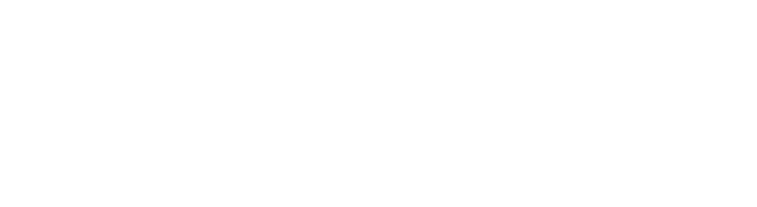 Southern Transit Solutions