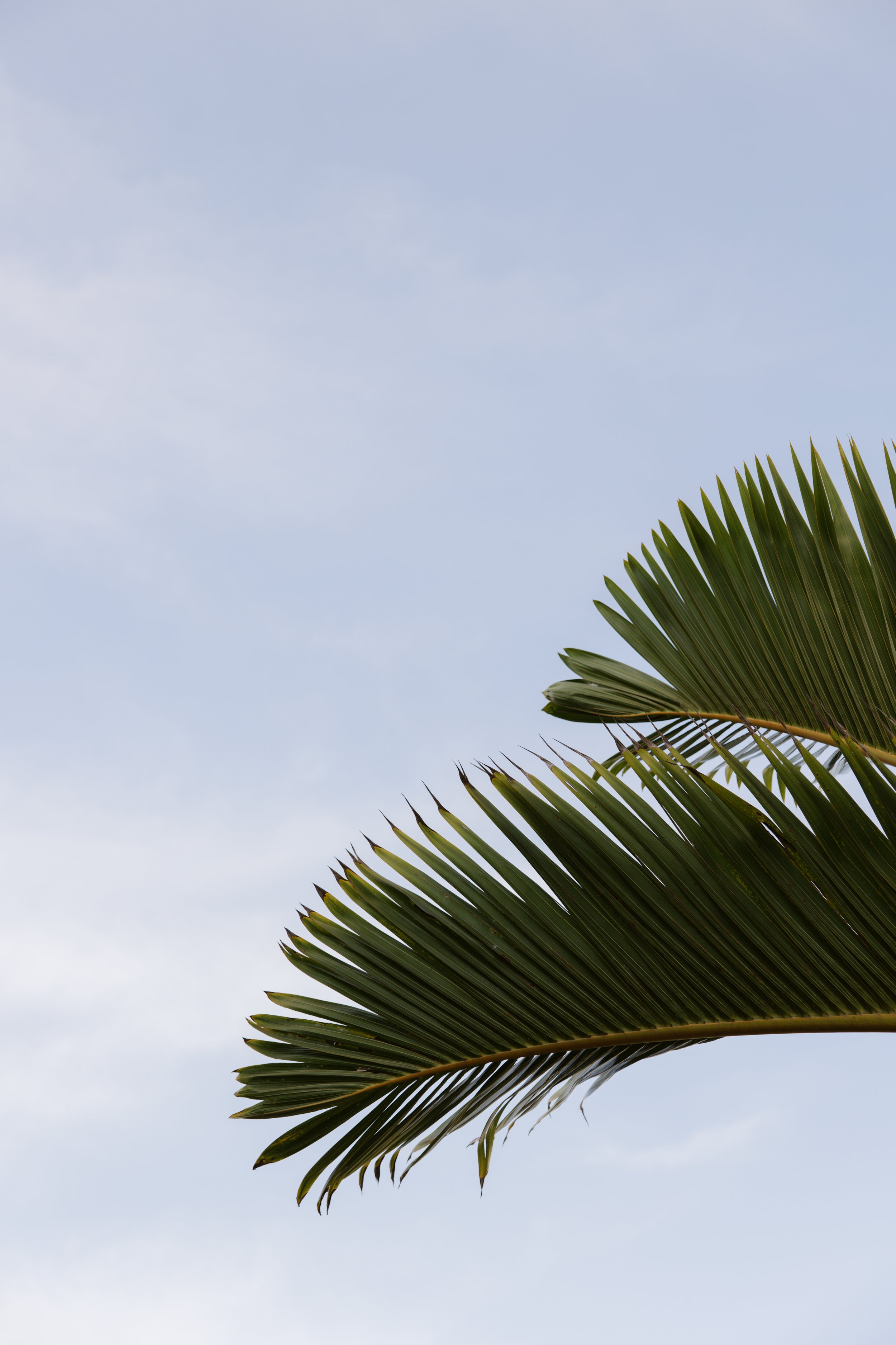Coastal Social Checks In: Hotel Escalante