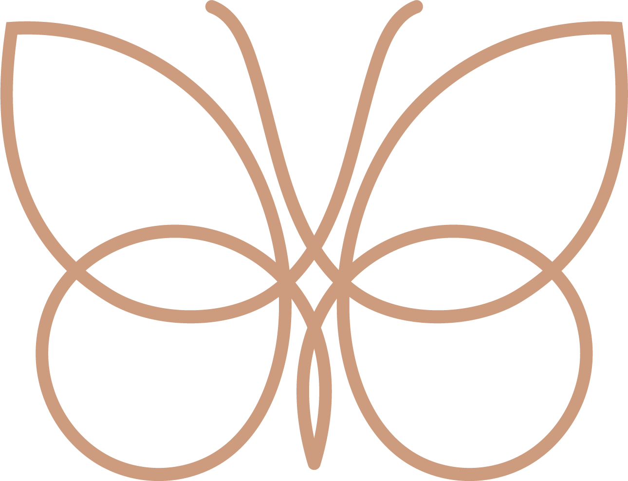 A line drawing of a butterfly with symmetrical wings outlined in brown on a black background.