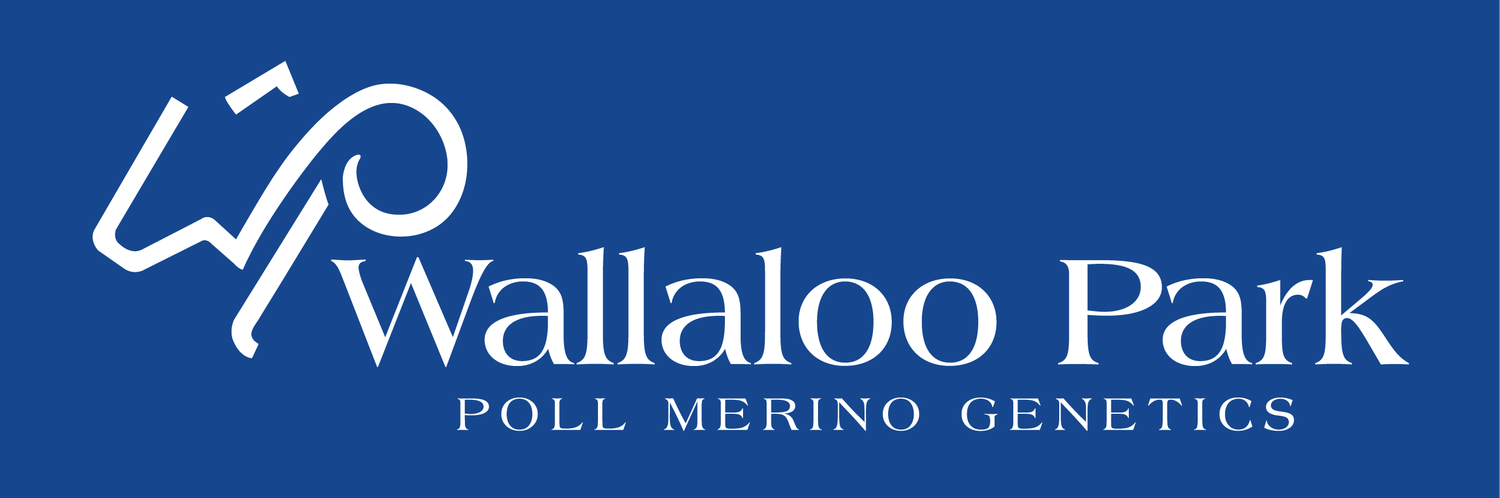 Wallaloo Park