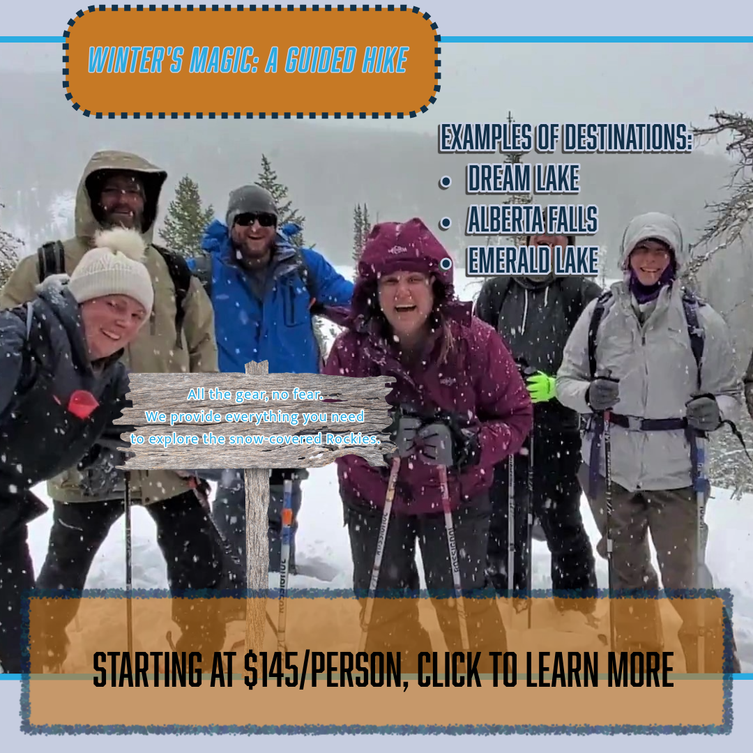 Things to do in Estes Park: Join a snow-filled fun adventure with wildlife sightings