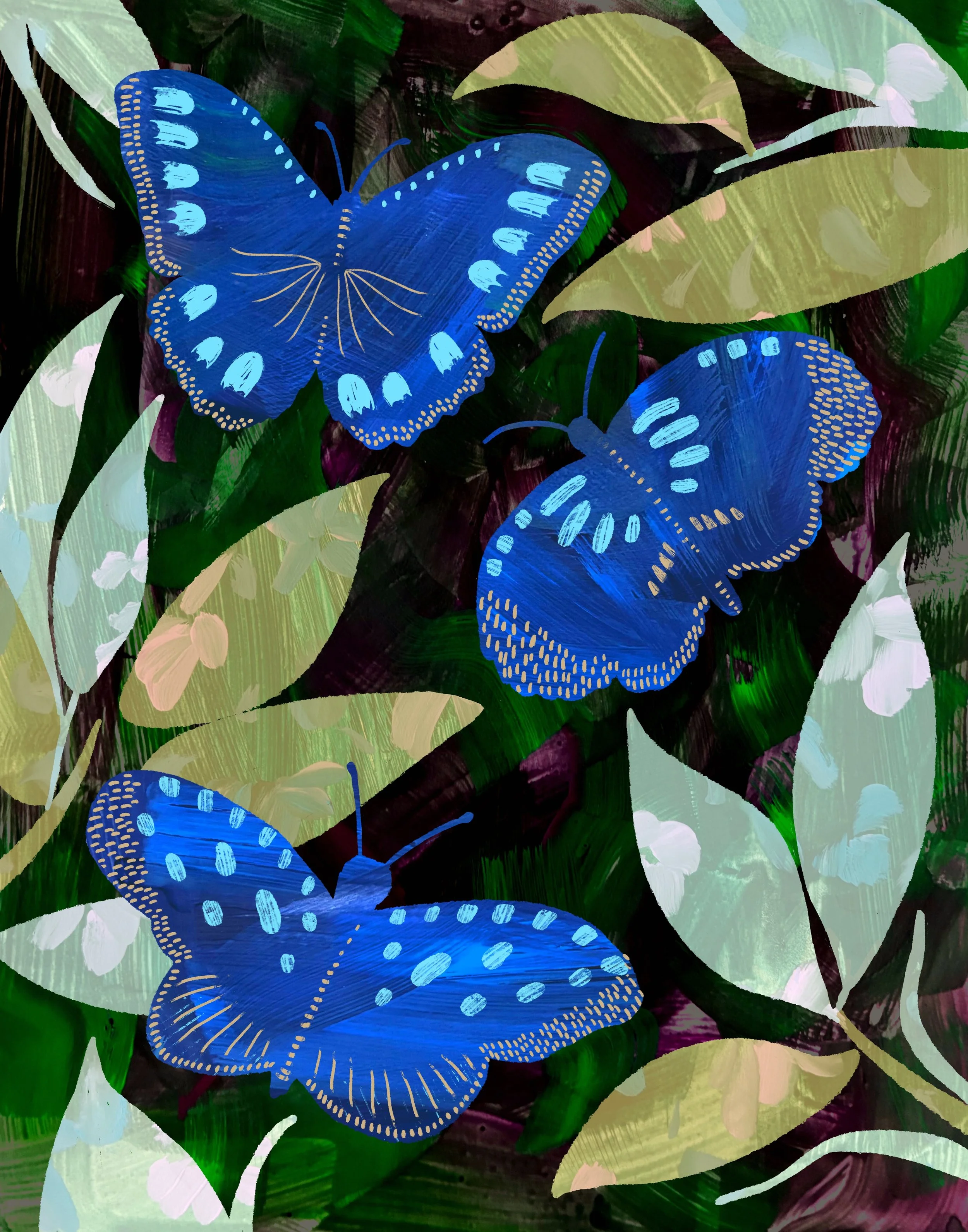 Rainforest Butterfiles.jpg