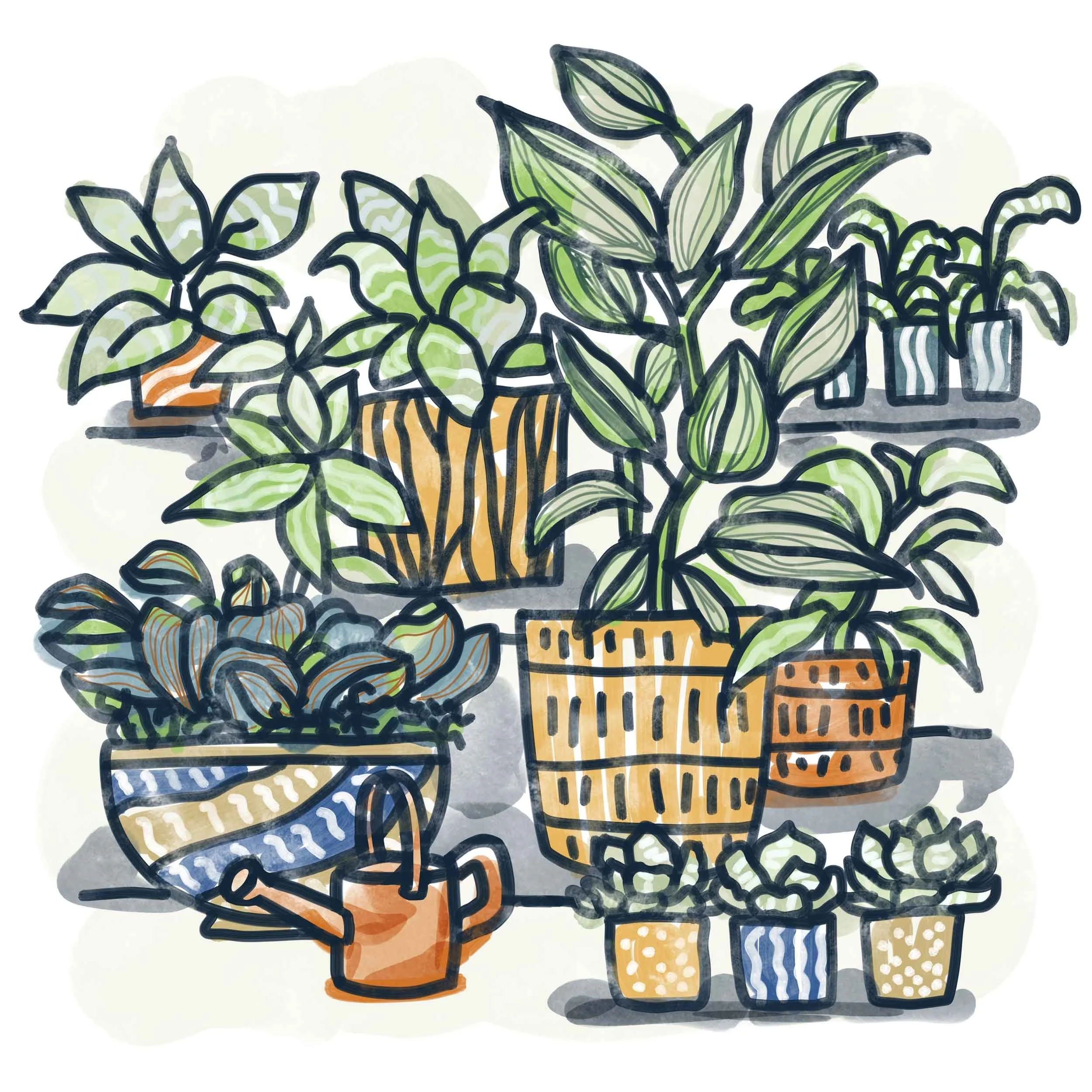 House-Plants-2_lowres.jpg