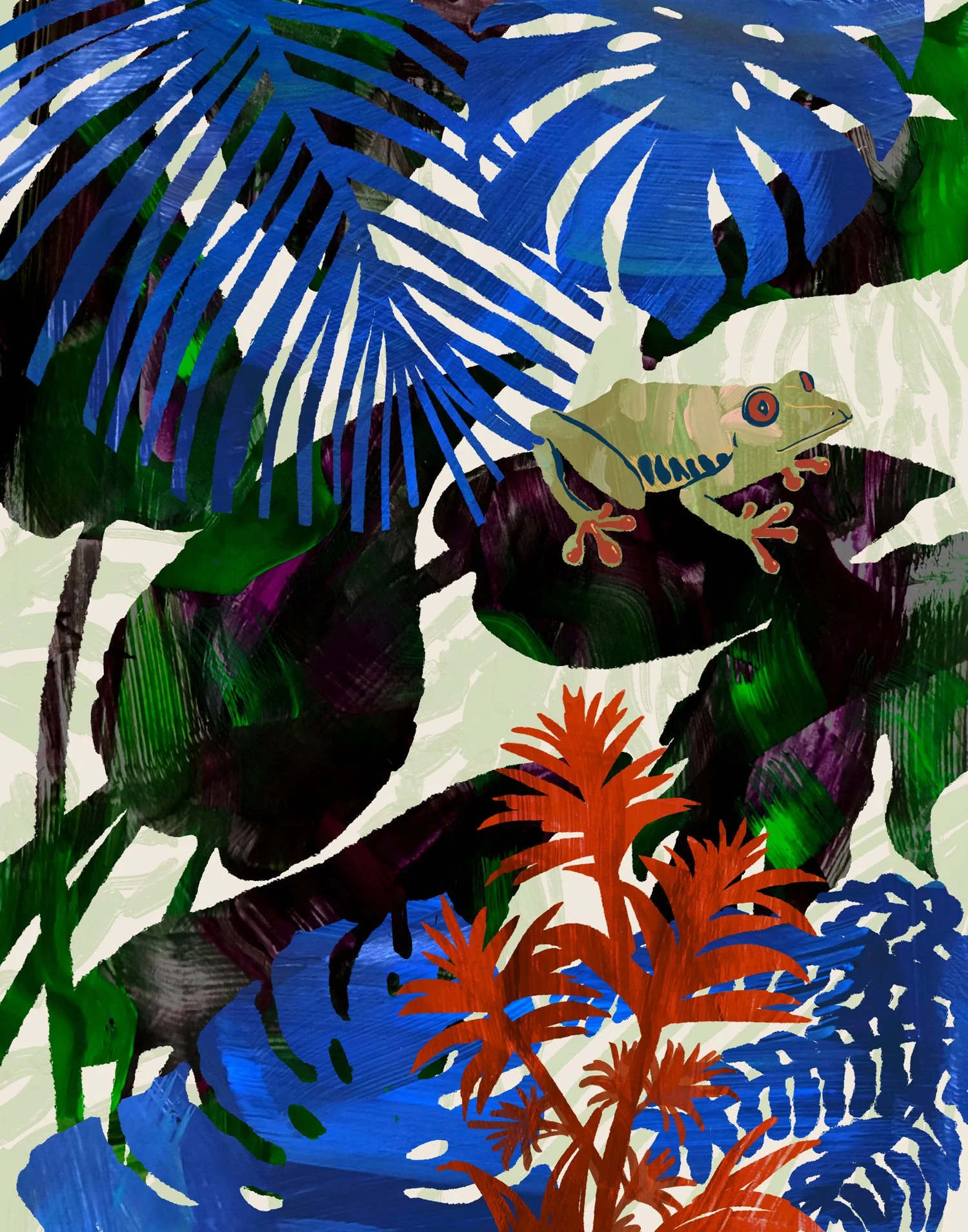 Rainforest-Frog_lowres.jpg
