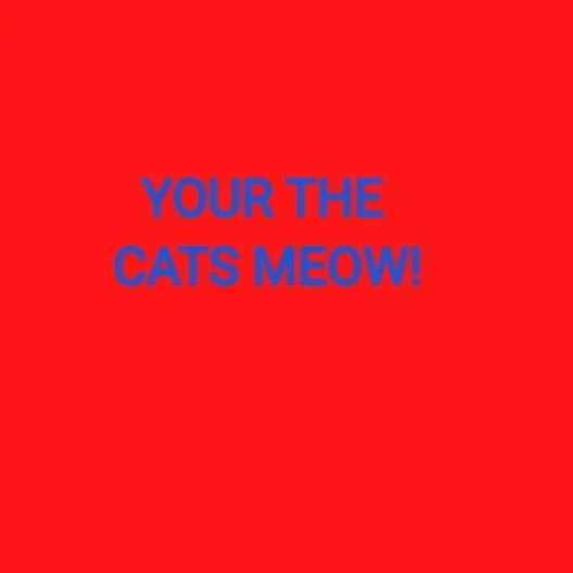 YOUR THE CATS MEOW!