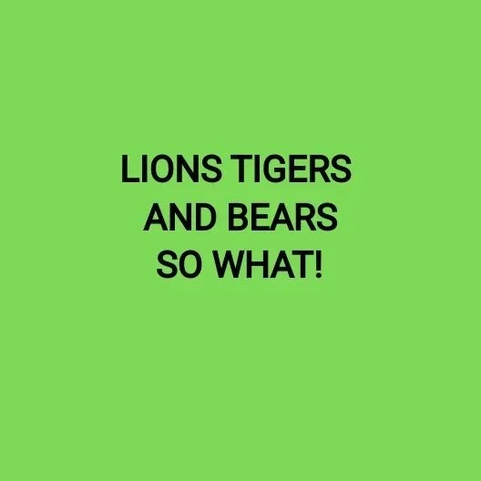LIONS TIGERS AND BEARS SO WHAT!