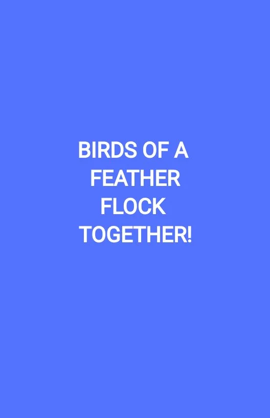 BIRDS OF A FEATHER FLOCK TOGETHER!
