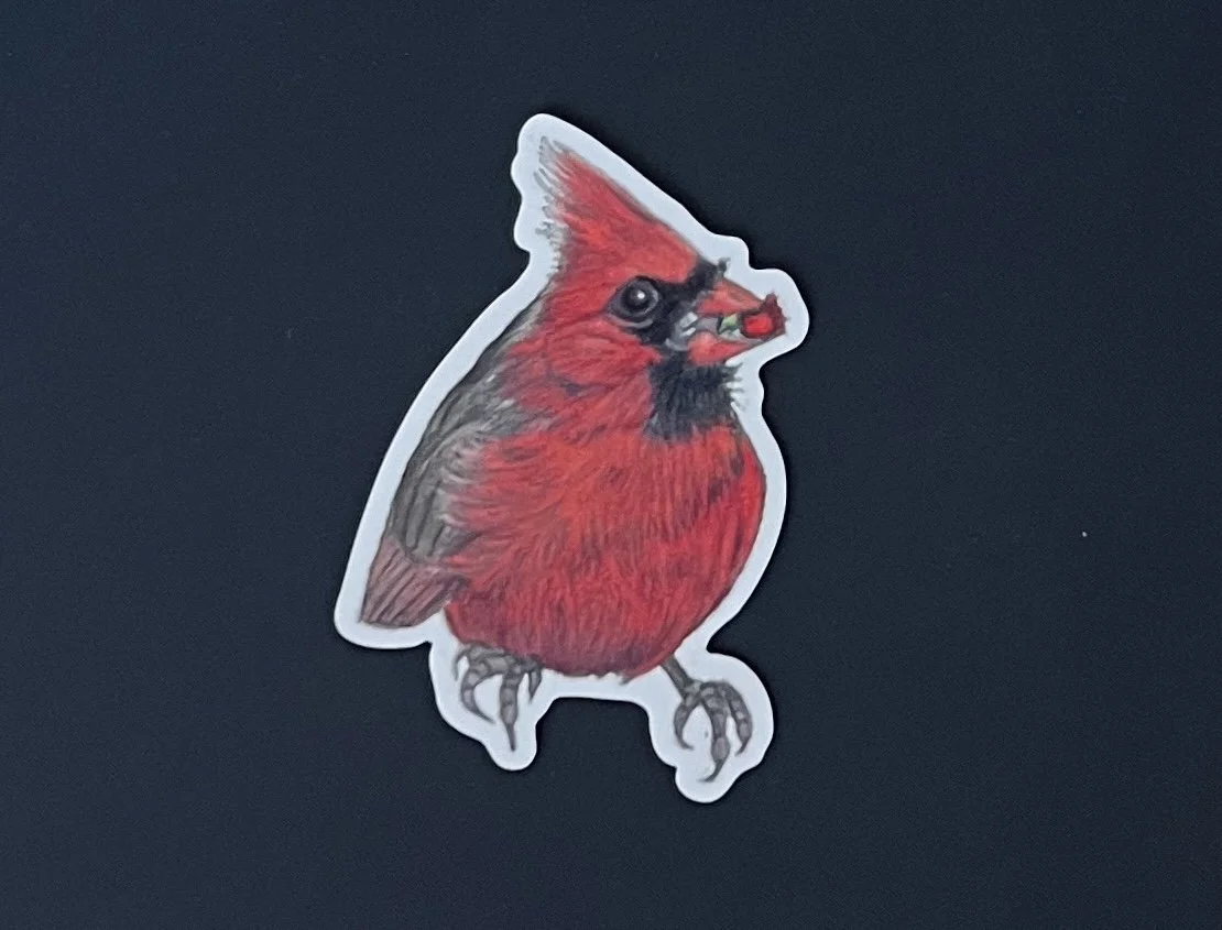 Cardinal magnet