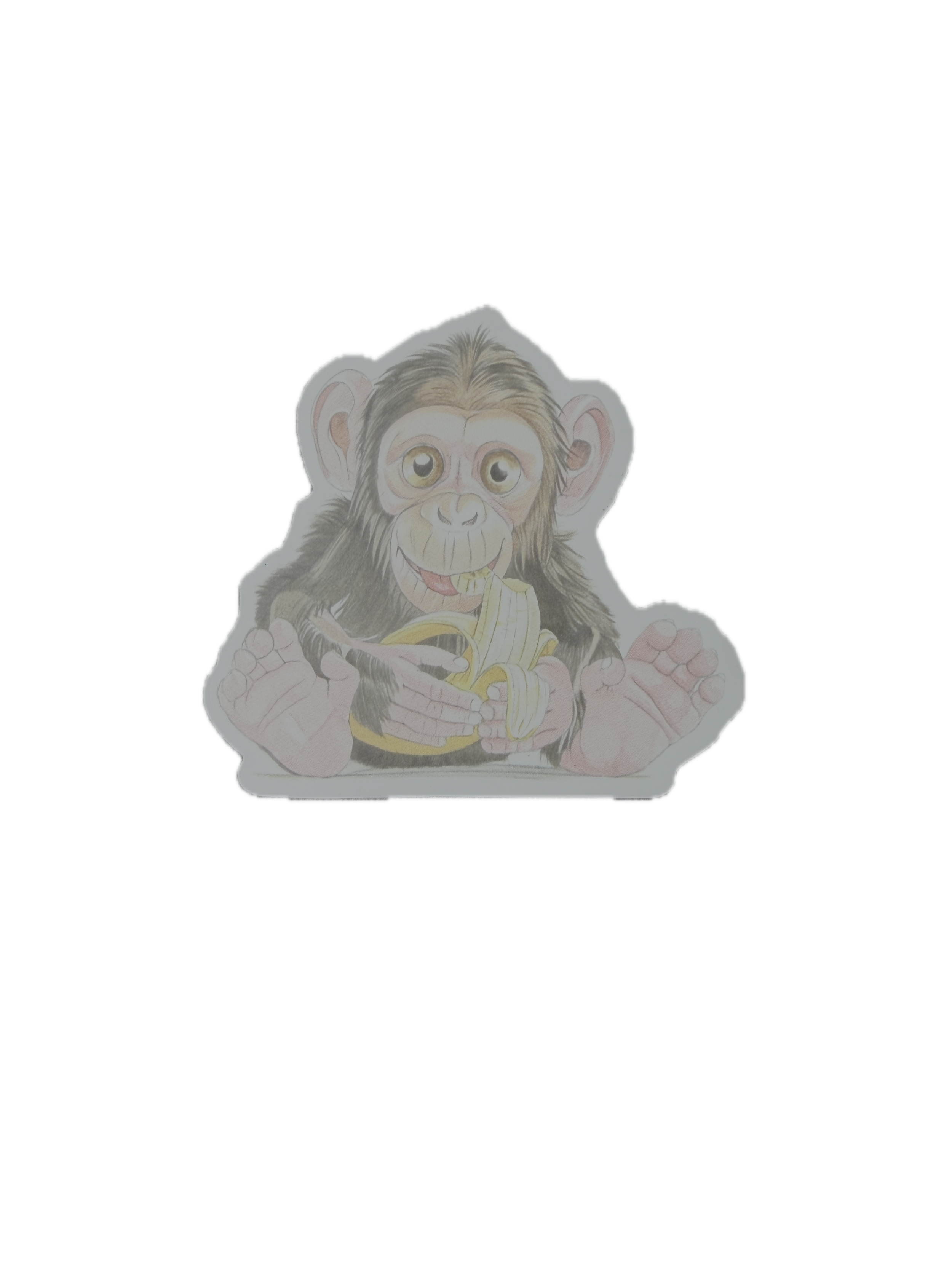 Monkey Magnet -free with book purchase.png