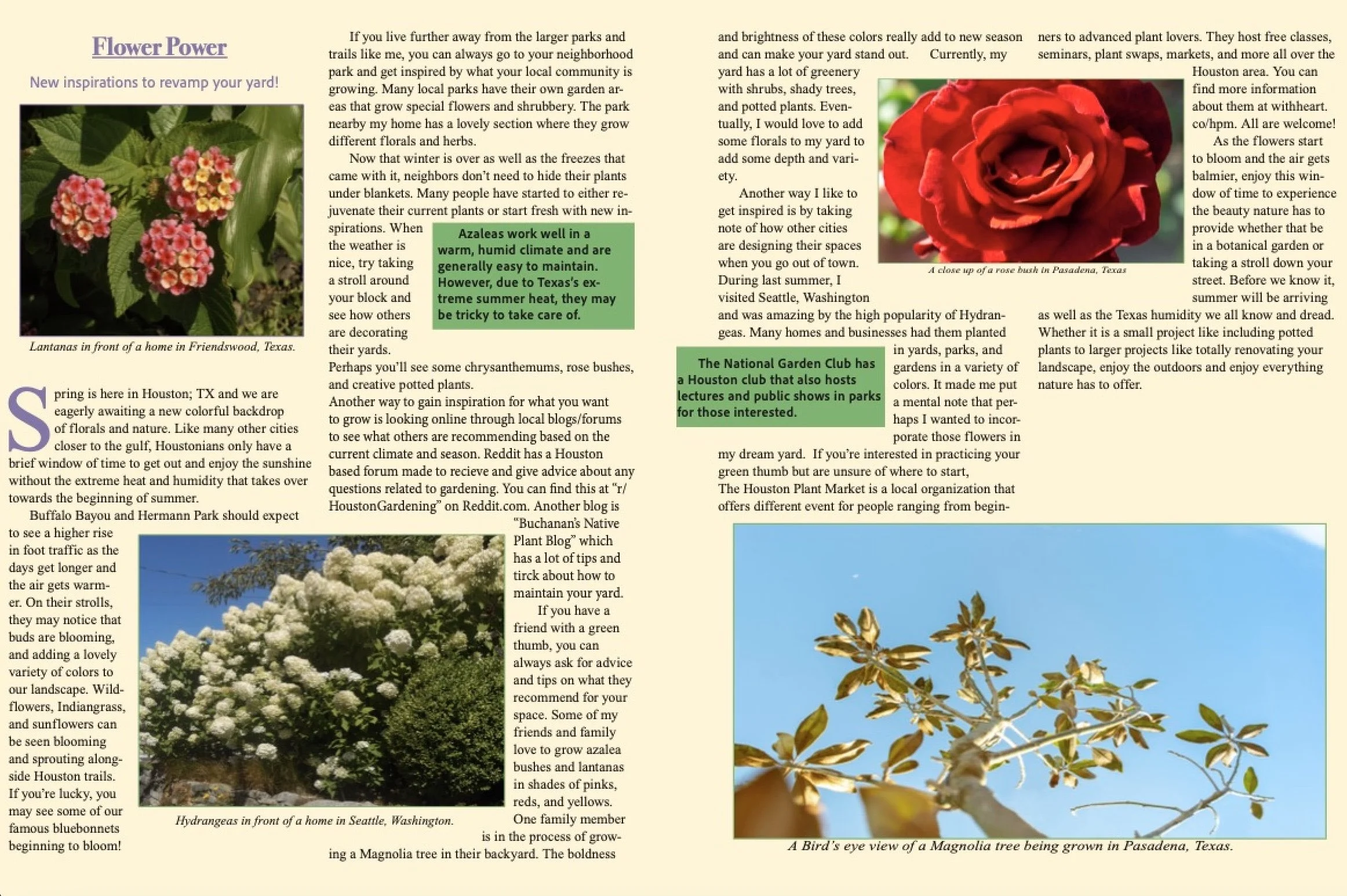 Flower Power Brochure