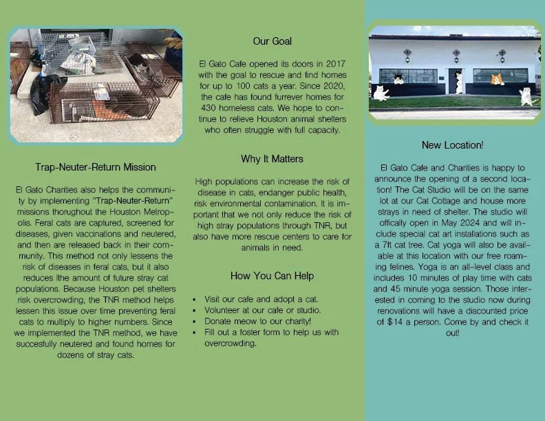 El Gato Cat Cafe Brochure Back