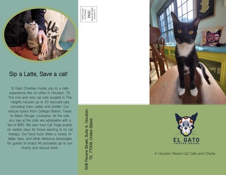 El Gato Cat Cafe Brochure Front