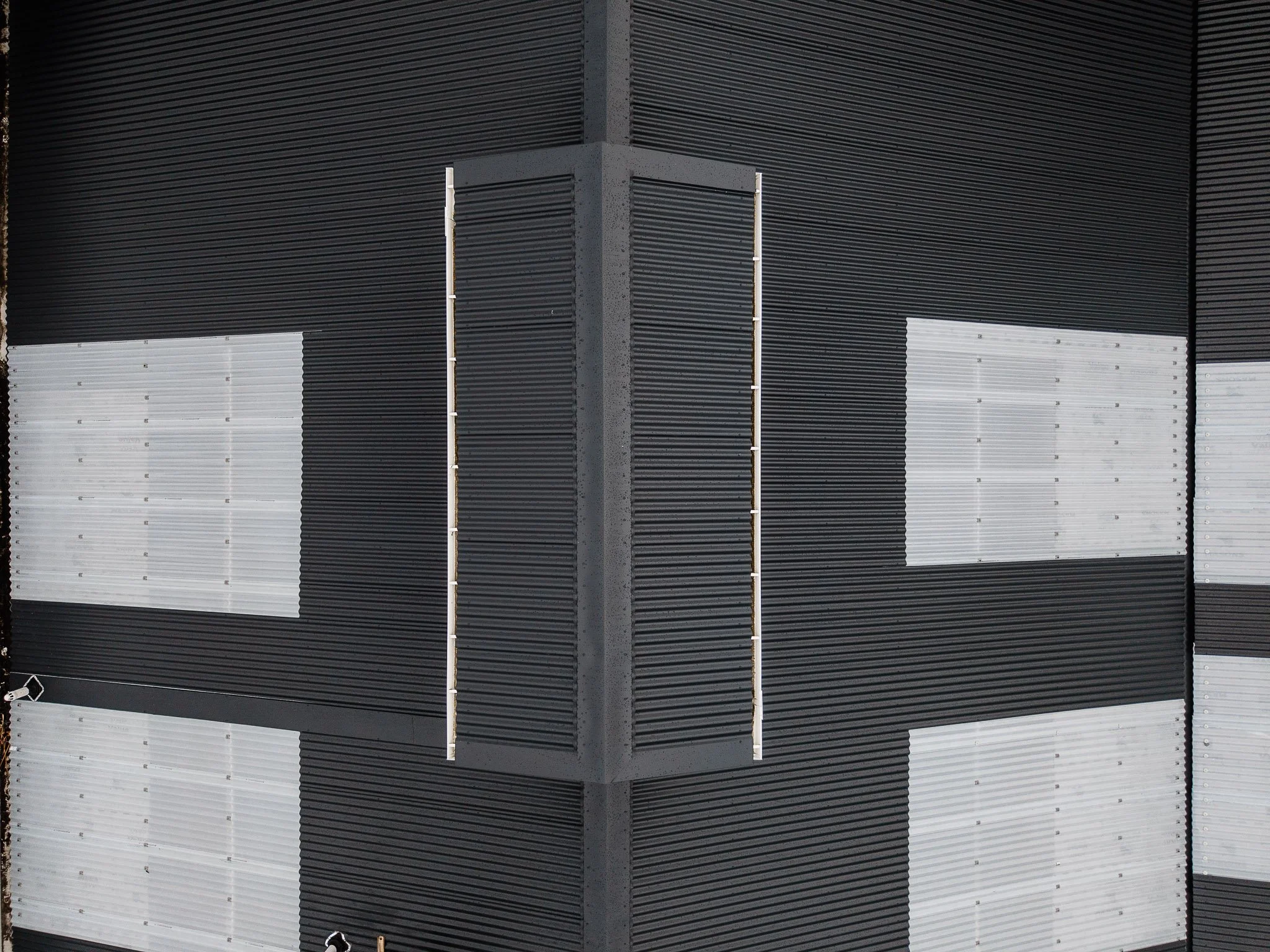 Metalhartt projects - Douglas Street, Ponsonby 14.jpg