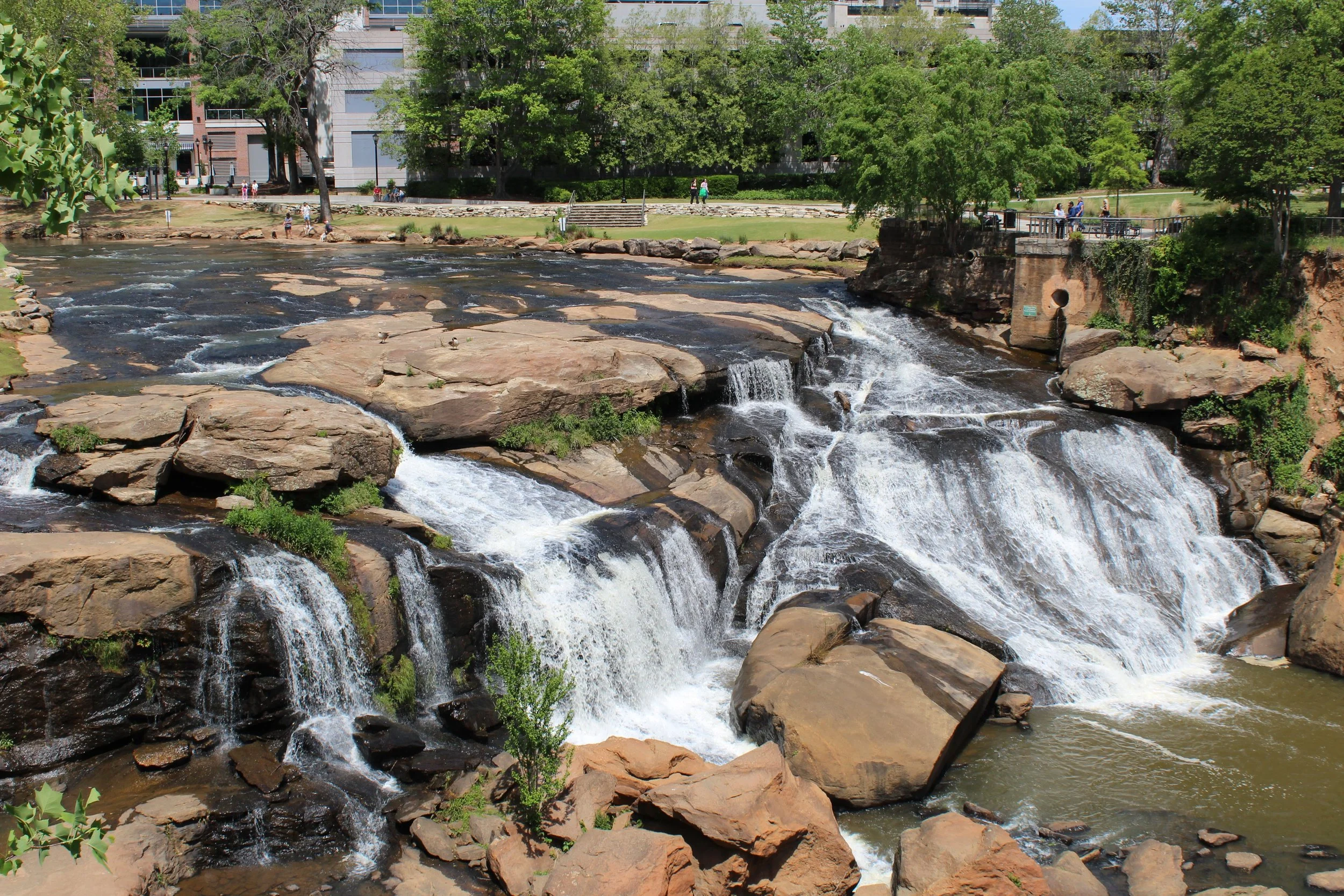 WTF IS HAPPENING IN GREENVILLE, SC? 