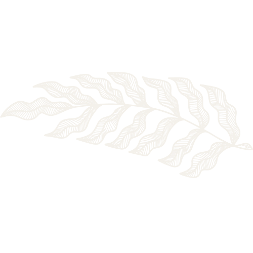 White leaf illustration on black background.