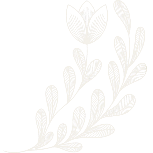 White floral illustration with a tulip-shaped flower and multiple oval-shaped leaves on a black background.