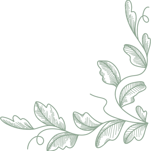 Decorative illustration of green leaves and vines with a minimalistic design.