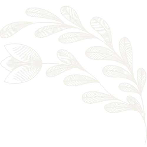 A white botanical illustration of a leafy branch against a black background.