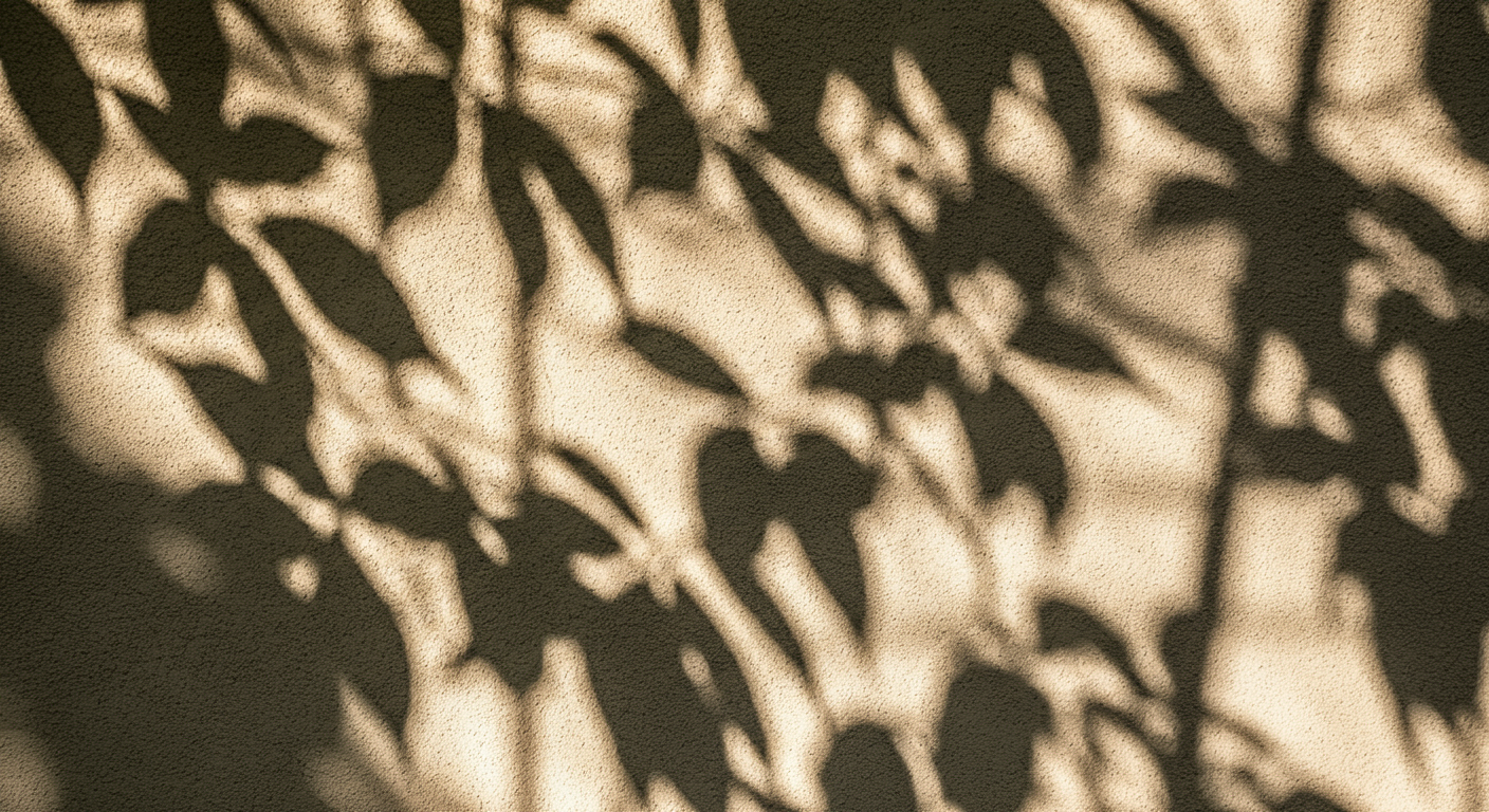 Leaf-Shadows-2-imgg-gi3-fz08vuog.png