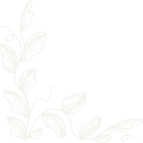 White botanical illustration of leaves and vines on a black background.
