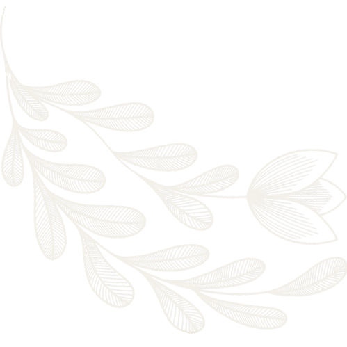 White floral branch with leaves and a flower on a black background.