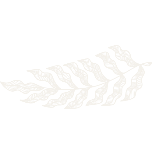 White stylized fern leaf on a black background.