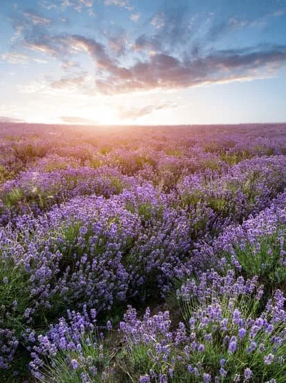 Delegation That Grows People: How to Delegate in a Way Adults Actually Learn