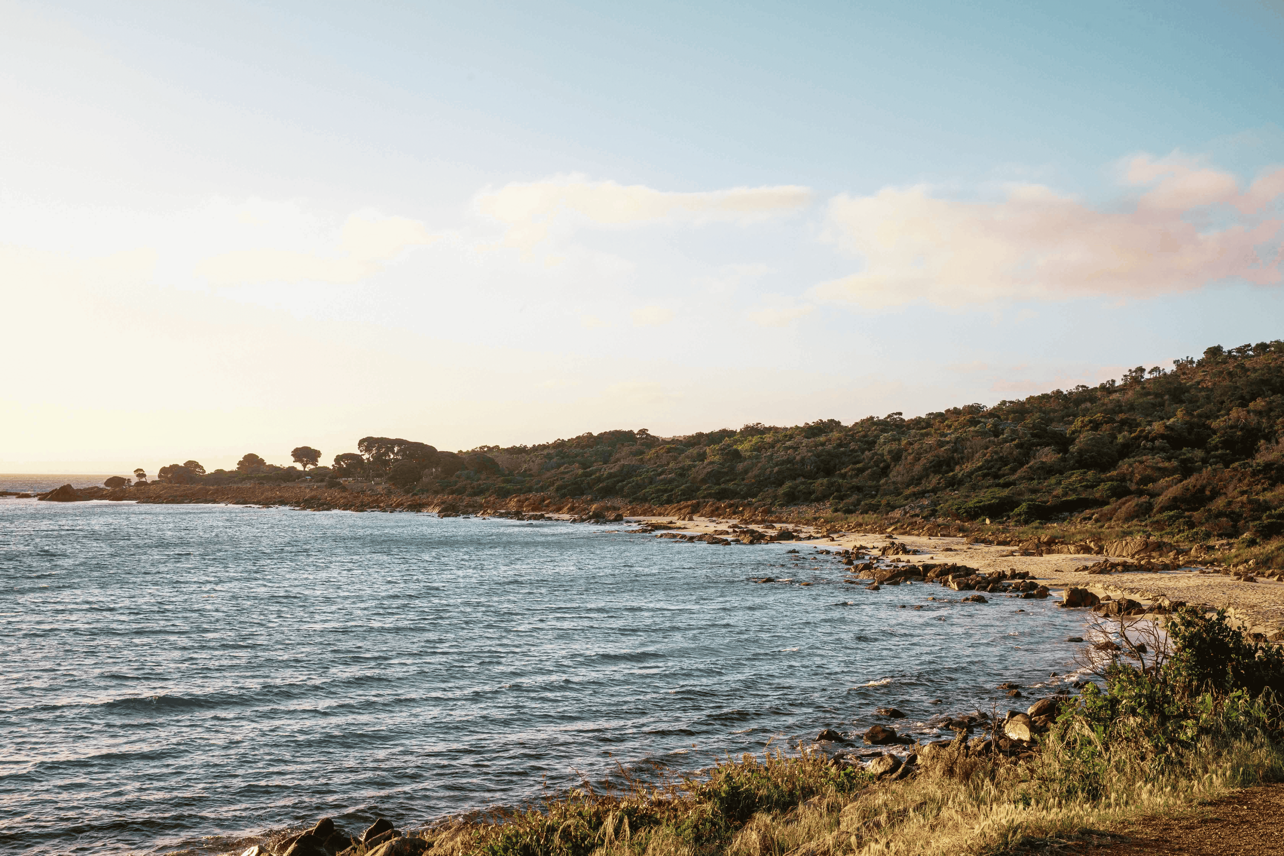 Untitled design (1).png