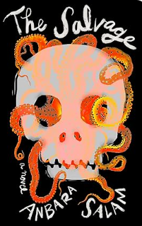 Cover image for The Salvage by Anbara Salam
