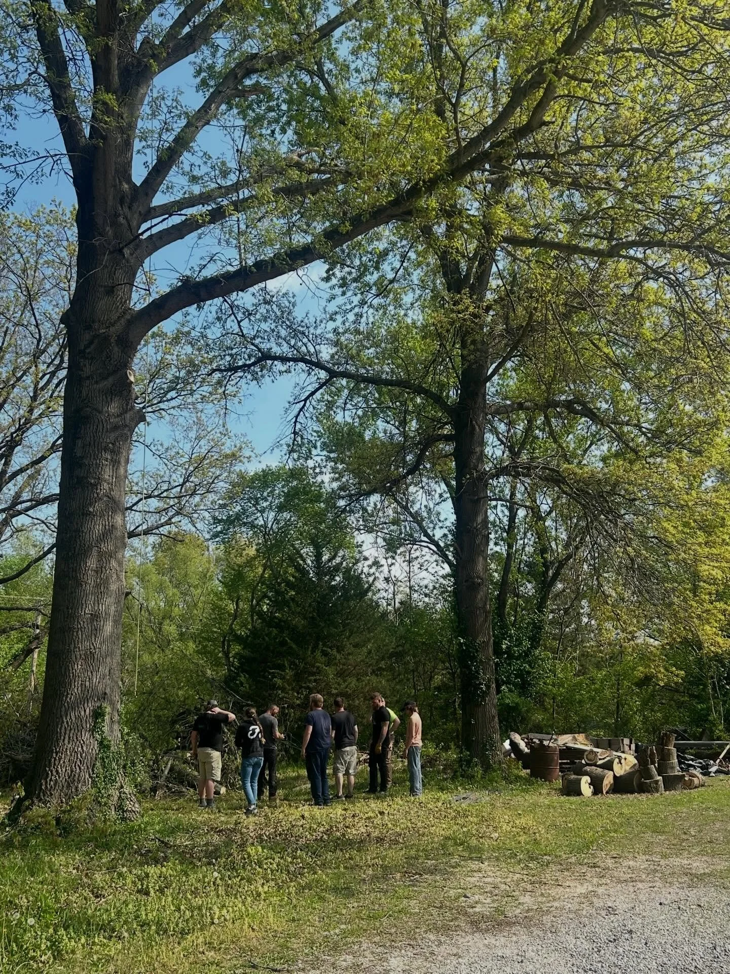Club jiujitsu members donating their time for a community garden project! #community