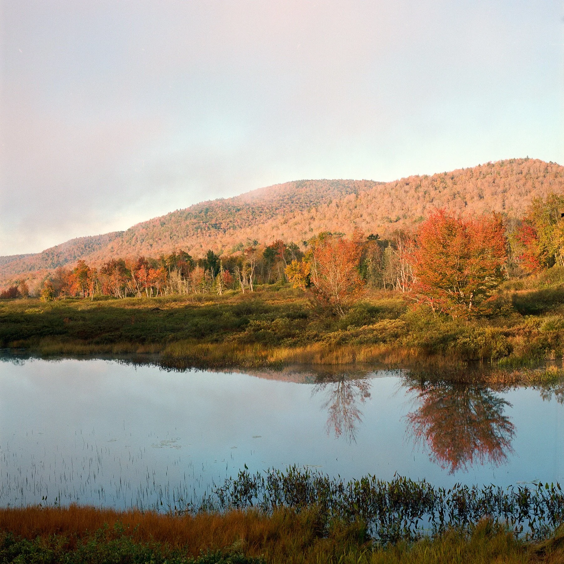 Lessons from the Roll: Adirondacks Edition