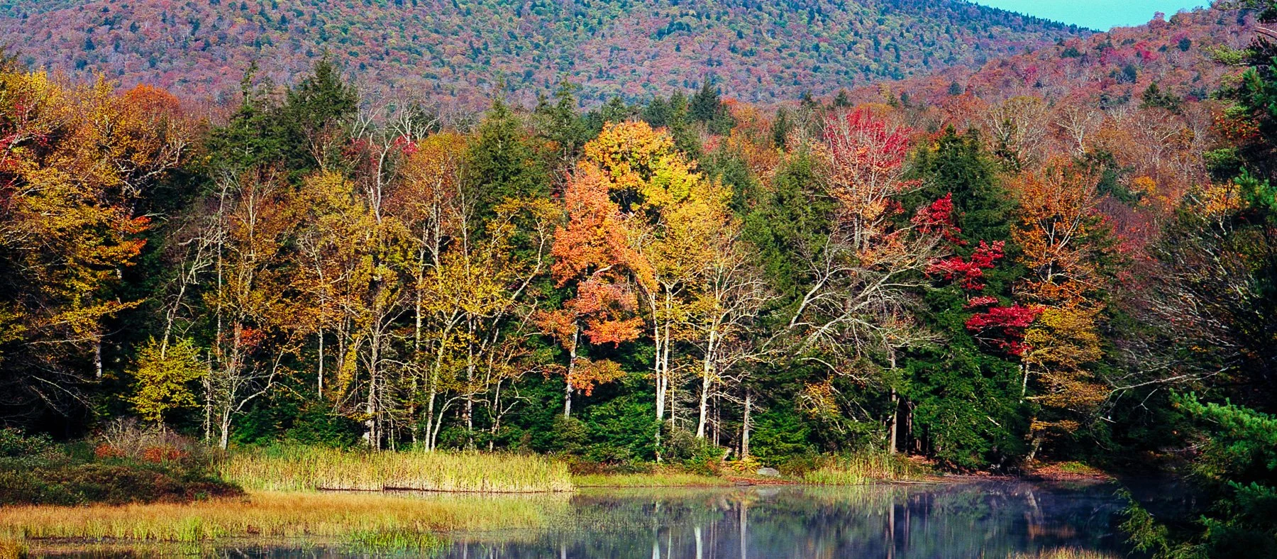 Adirondack Oct 2025_43.jpg