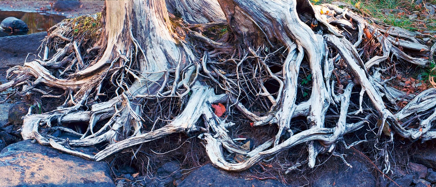 Adirondack Oct 2025_44.jpg