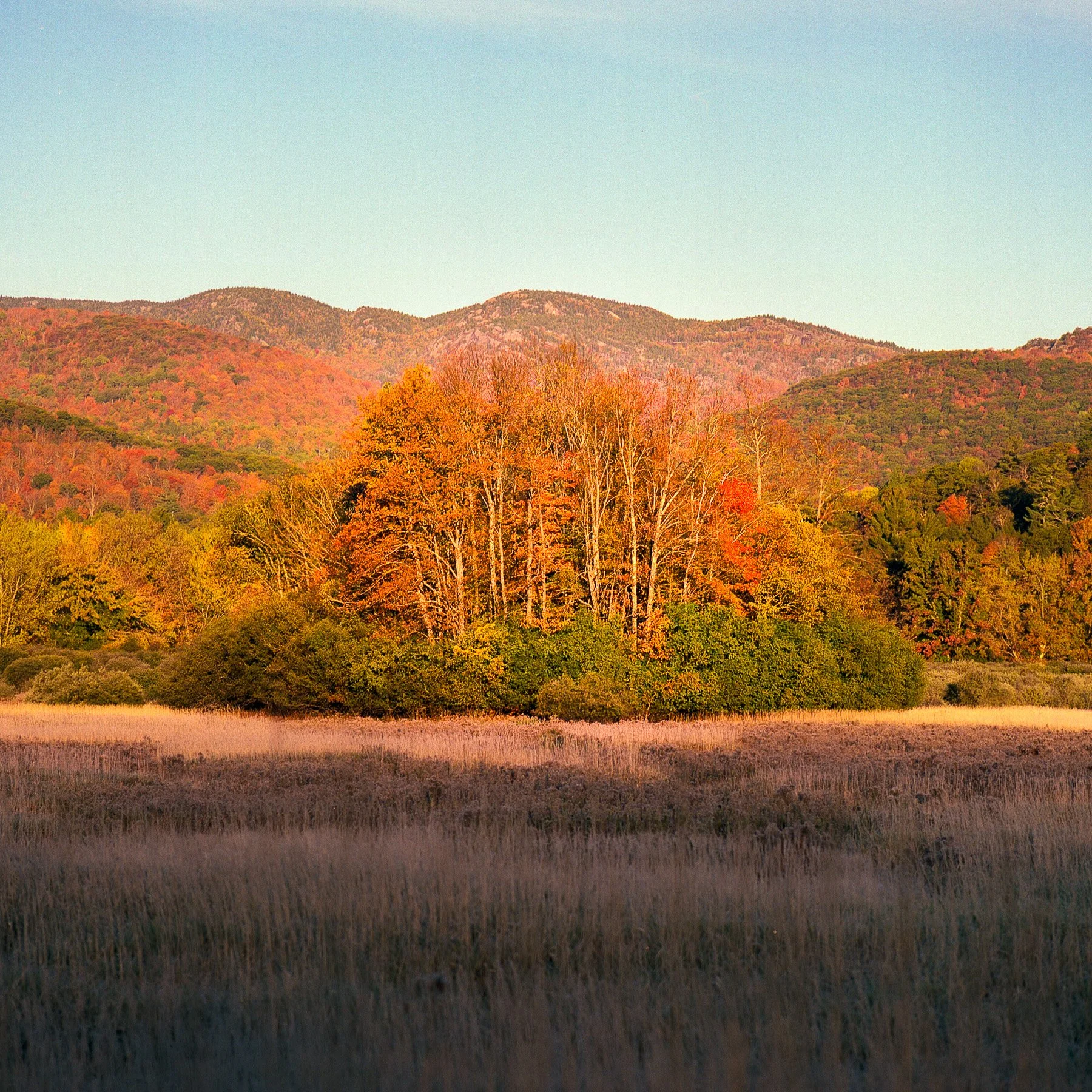 Adirondack Oct 2025_6-Edit.jpg