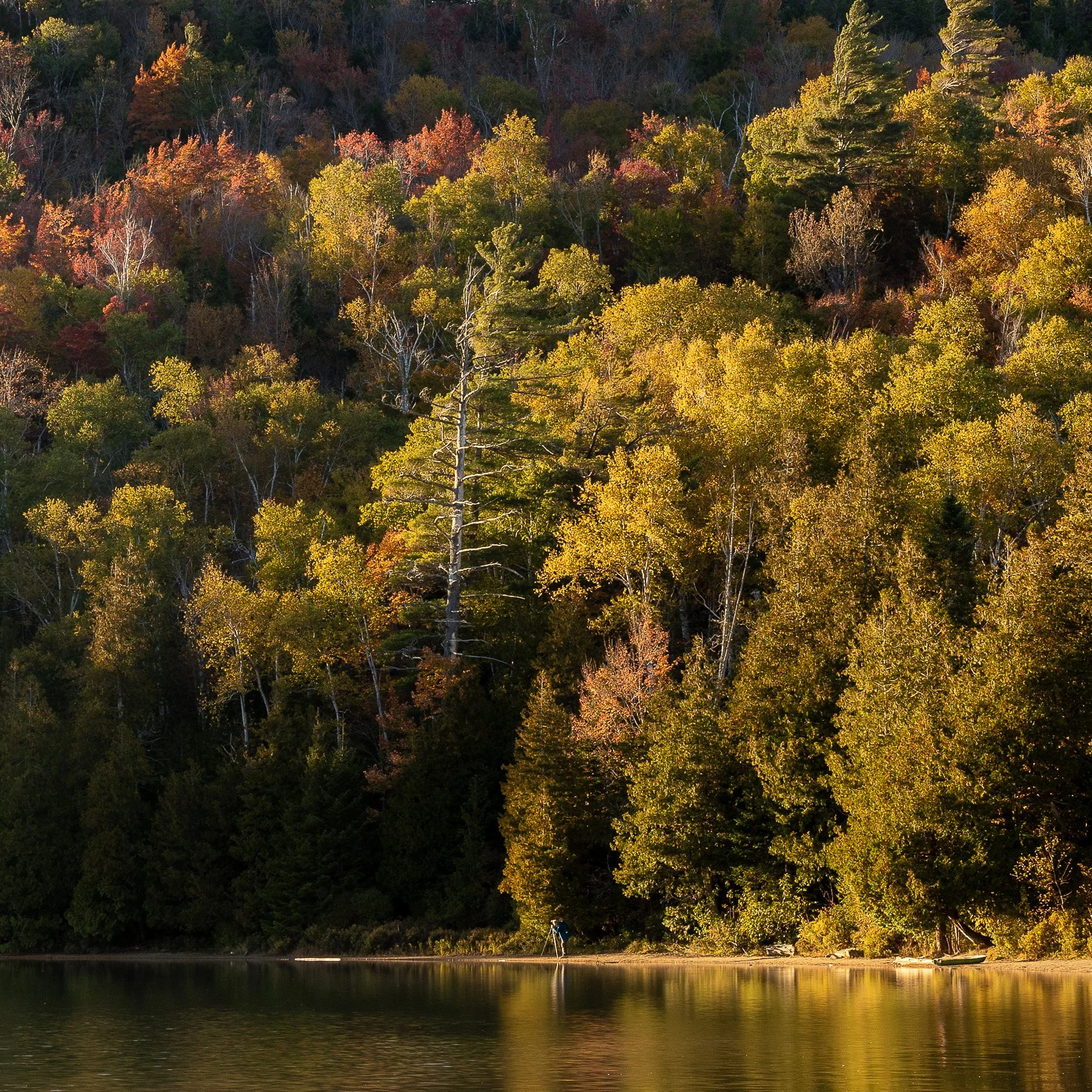 Through the Leaves: Capturing Autumn in the Adirondacks