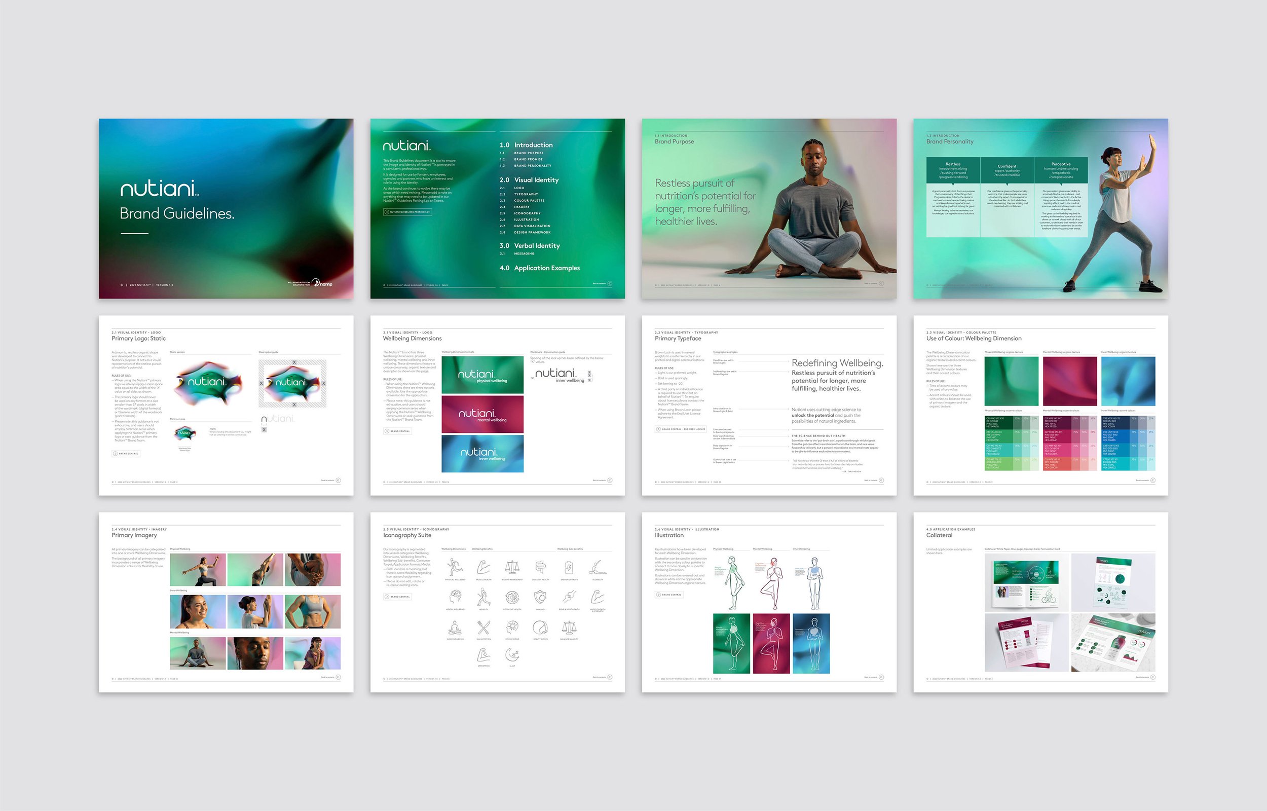 Nutiani brand guidelines.