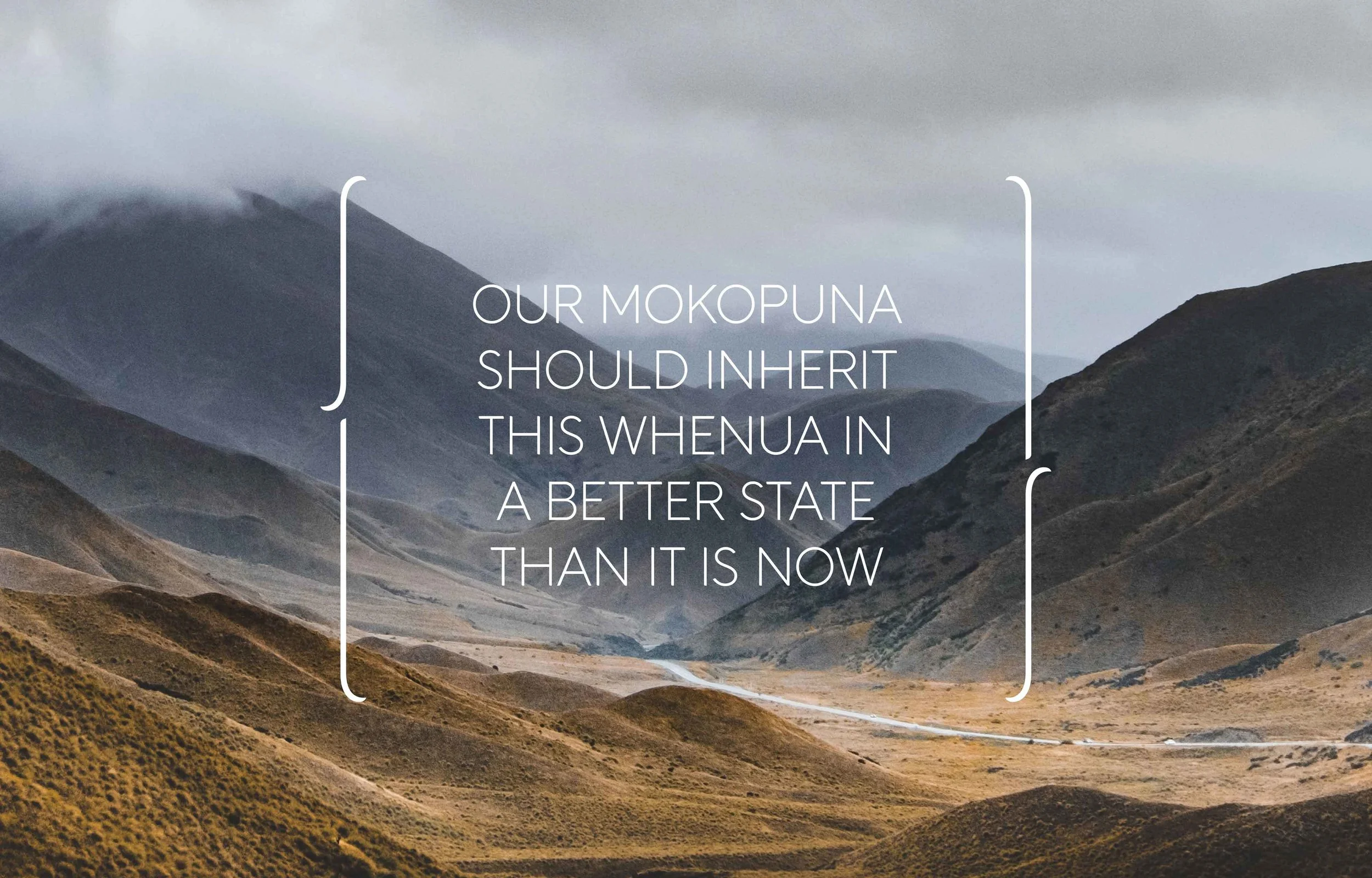 A mountainous landscape with rolling hills and a cloudy sky, overlaid with the text: "Our mokopuna should inherit this whenua in a better state than it is now."