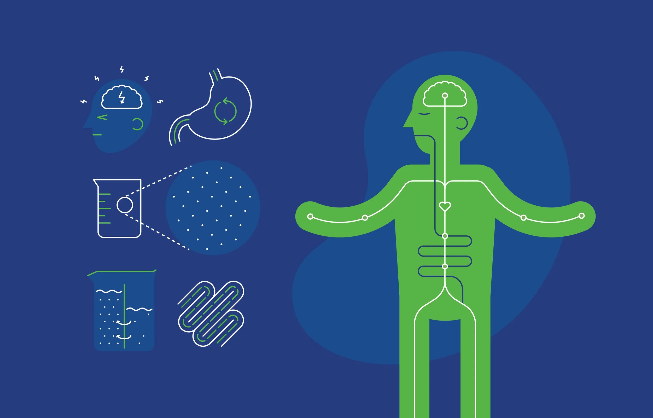 Illustration of human body with interconnected lines and symbols representing a holistic approach to wellness, including brain, stomach, blood test, water, and bacteria icons.