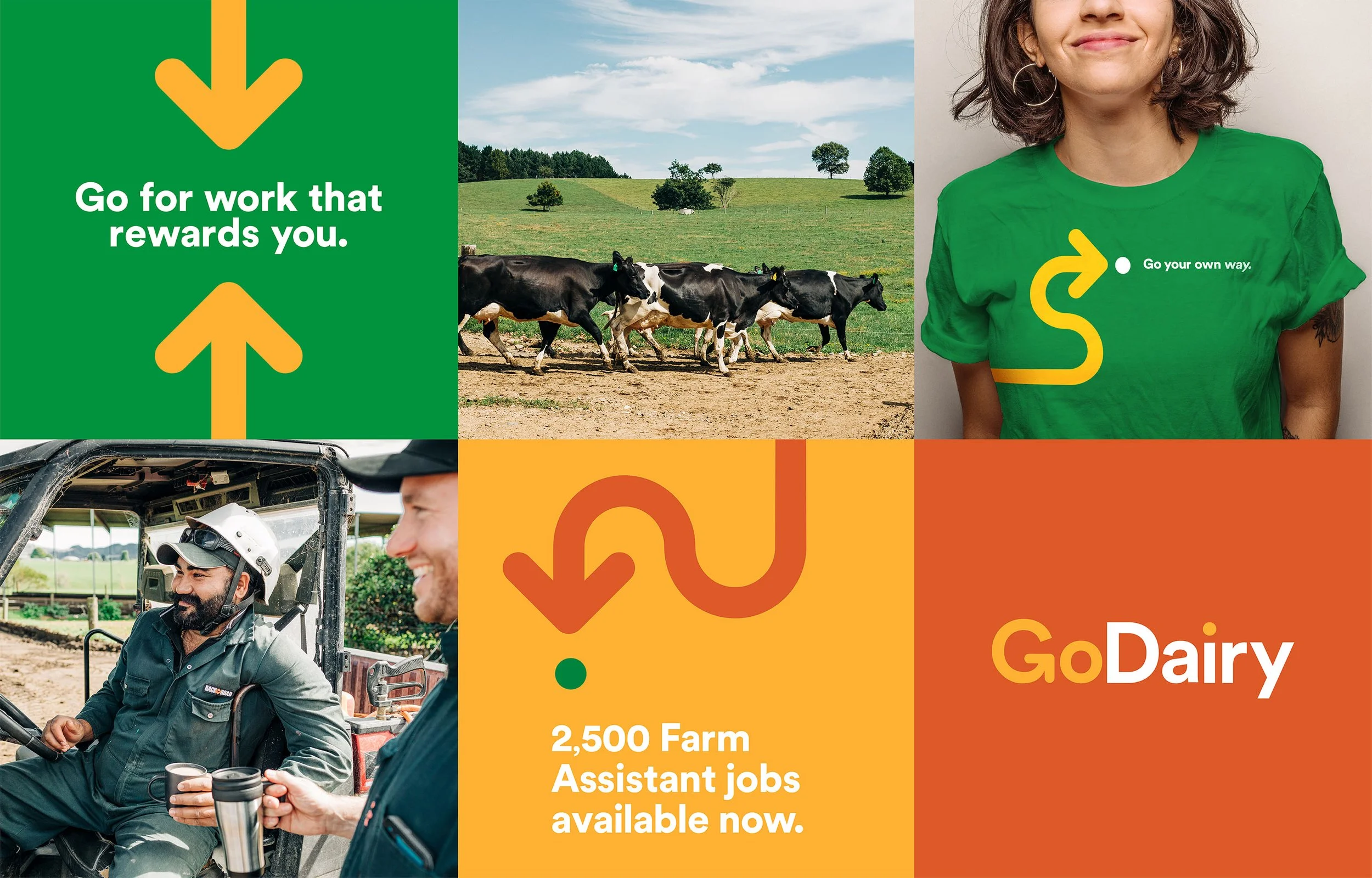 Go Dairy brand overview.