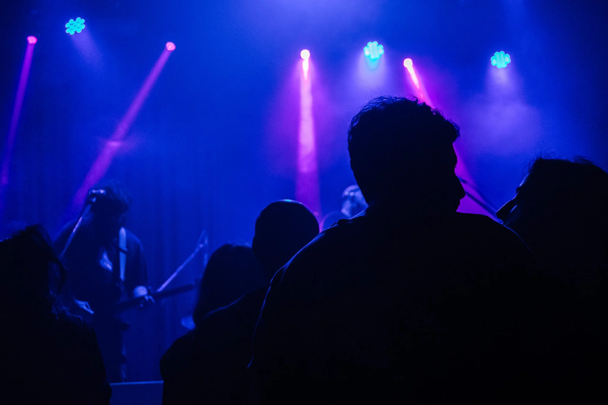 Silhuetas de personas en un concierto o evento con luces moradas y azules en el fondo.