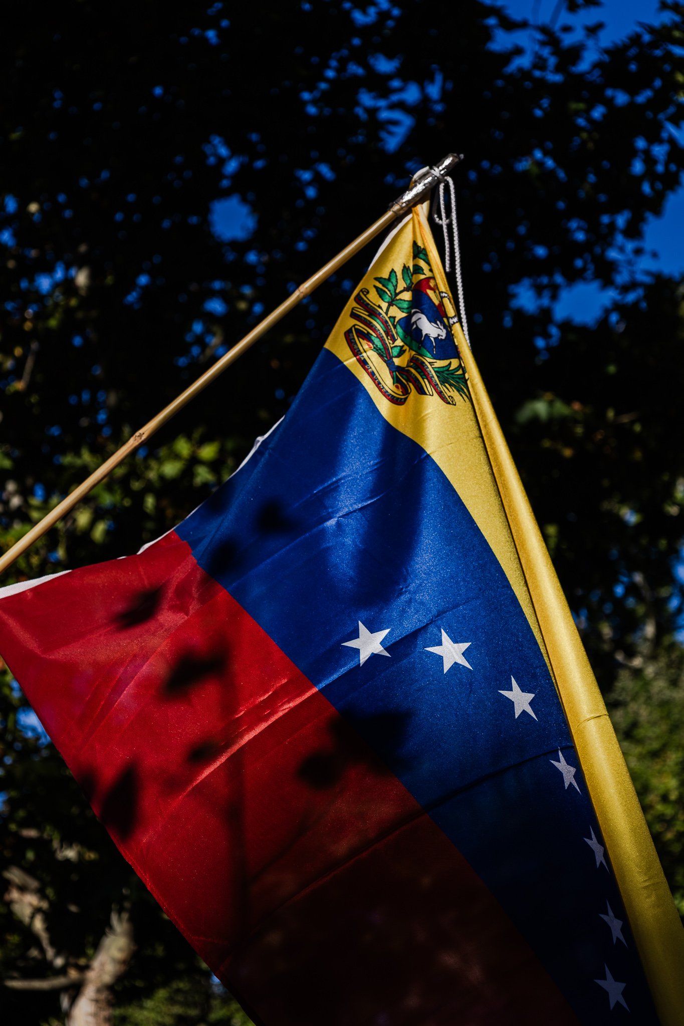 Bandera de Venezuela ondeando al viento, con fondo de árboles y cielo azul.