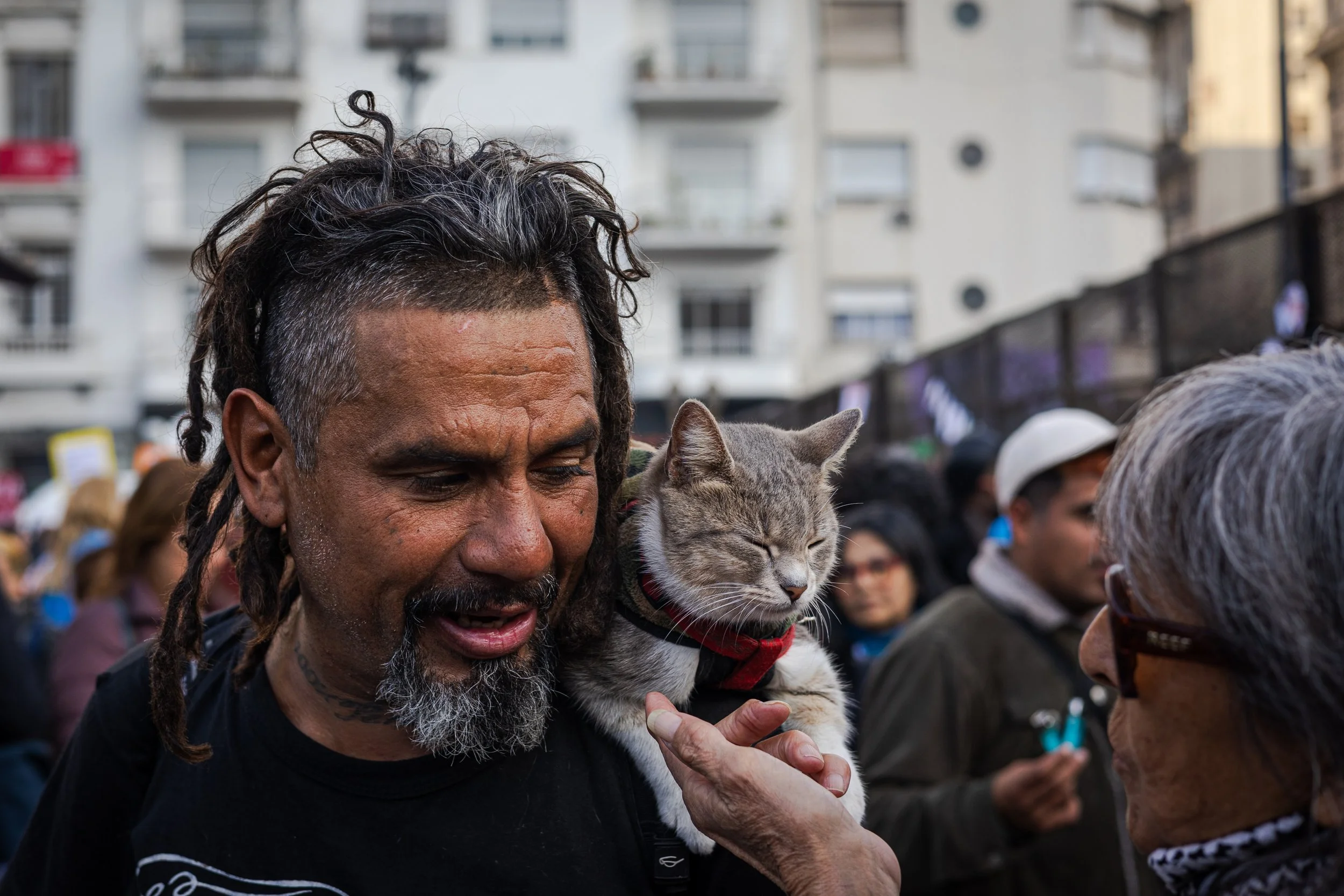 Un hombre con cabello rizado y barba gris, sosteniendo un gato gris con collar negro y rojo en una multitud urbana, interactuando con una mujer de cabello gris y gafas oscuras.
