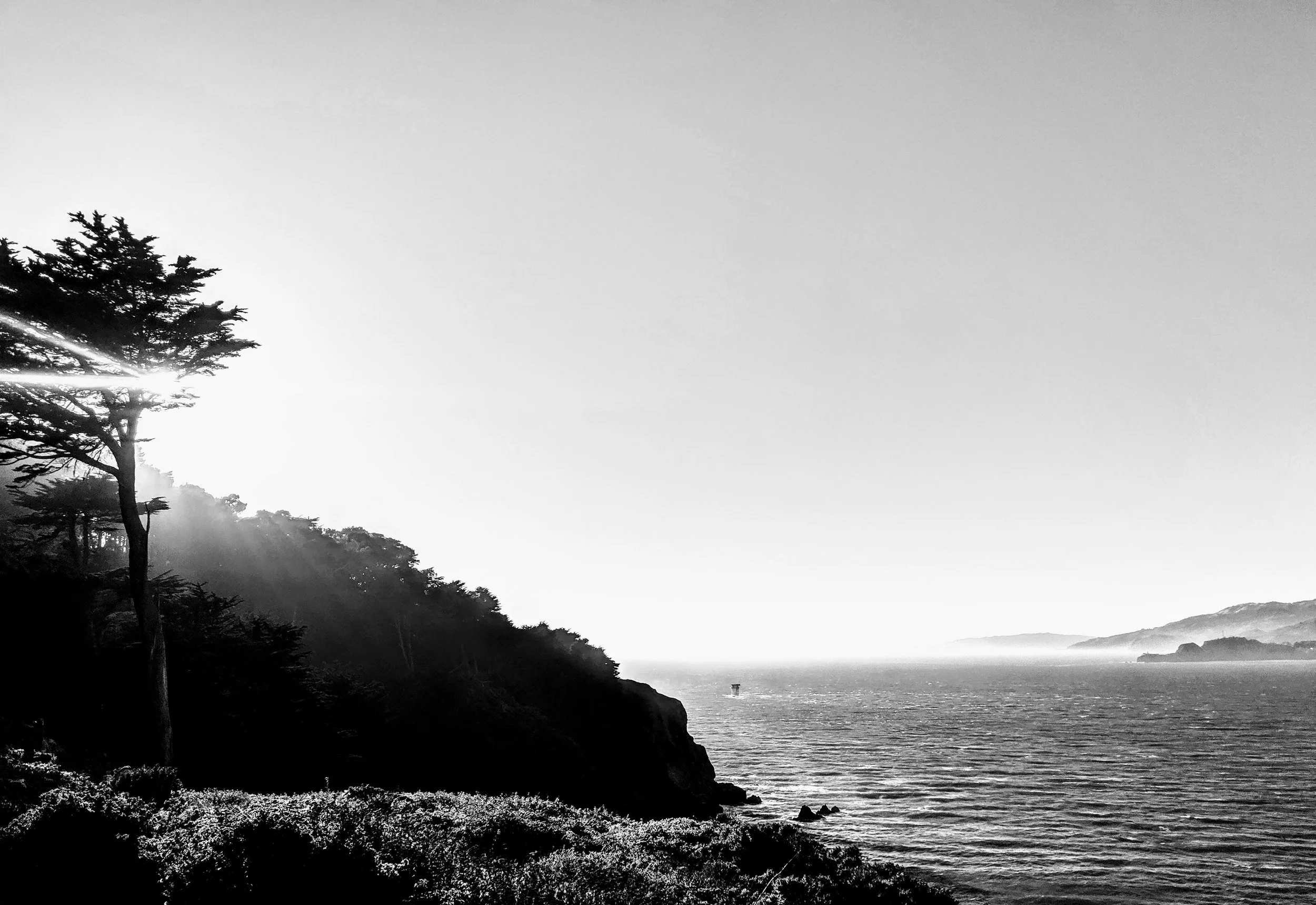 A black and white landscape photograph depicting a coastal scene with a large tree on the left, a hillside covered in trees, and the ocean extending into the horizon. The sky is clear and the water appears calm.