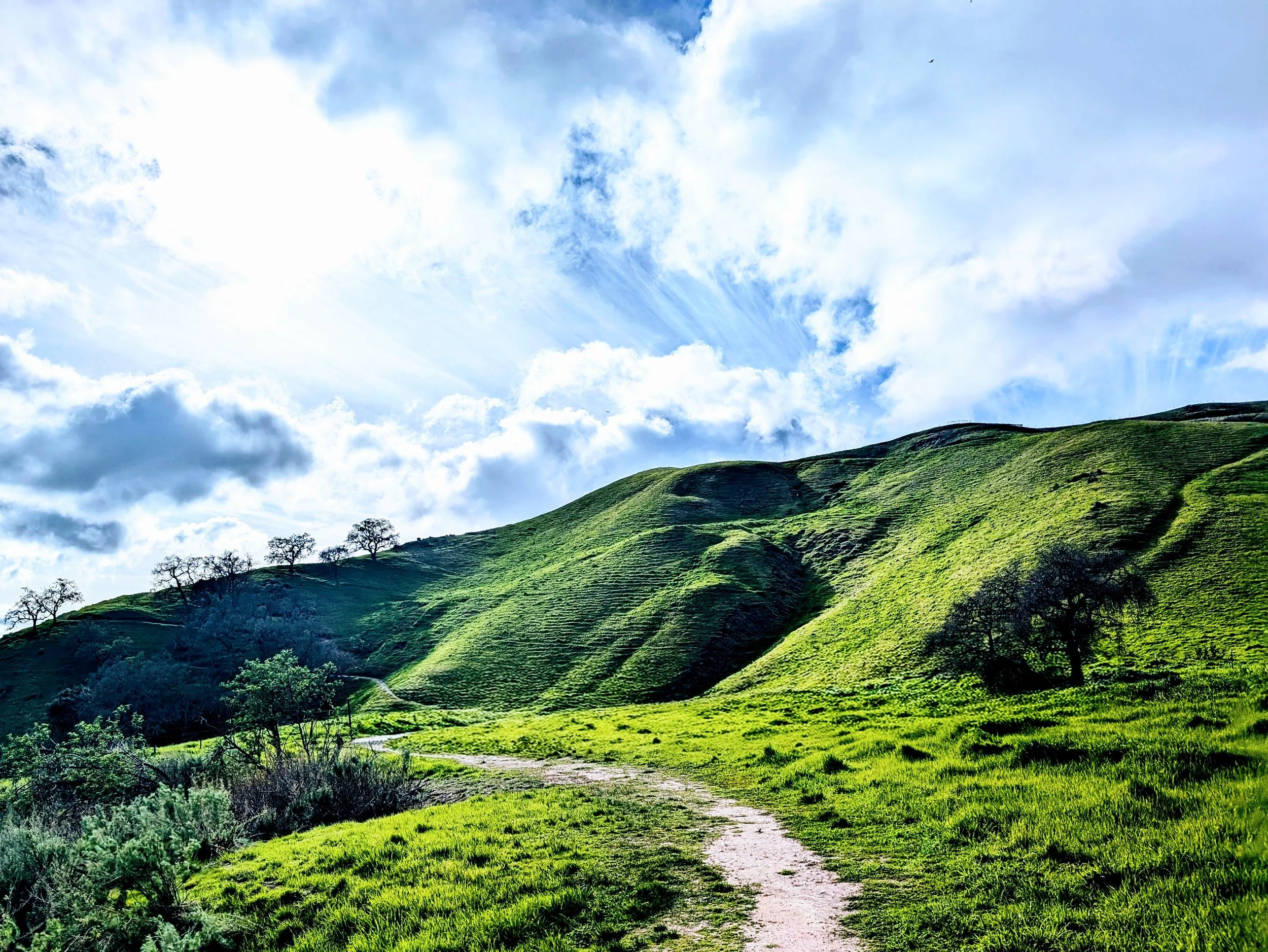 A scenic landscape featuring lush green rolling hills with a dirt trail winding through. Sparse trees are scattered across the hills, and the sky above is partly cloudy with streaks of sunlight breaking through.