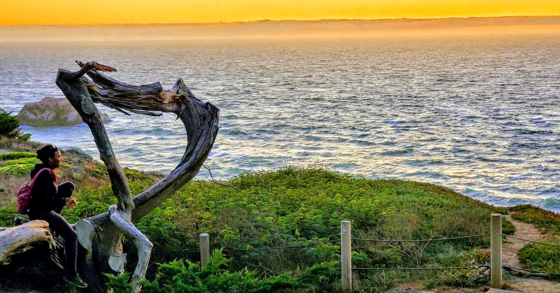 A woman with a backpack smiling while sitting on a driftwood sculpture near the ocean at sunset, with green vegetation and a dirt path in the foreground.