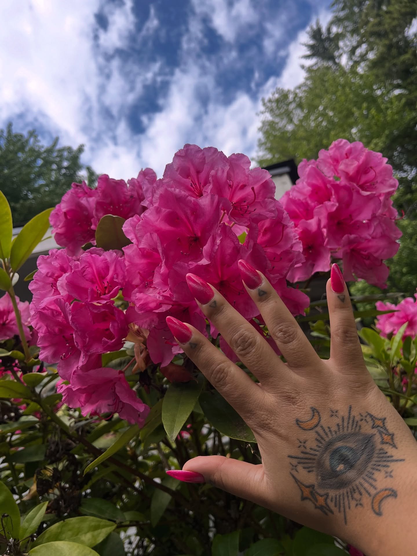 It&rsquo;s been so 🌧️ gloomy ☔️ lately, here are some lovely sunshine-y floral shots from spring and summer events that I worked at earlier this year, random flowers I see around the area during my daily walks, plus some bouquets I bought for myself