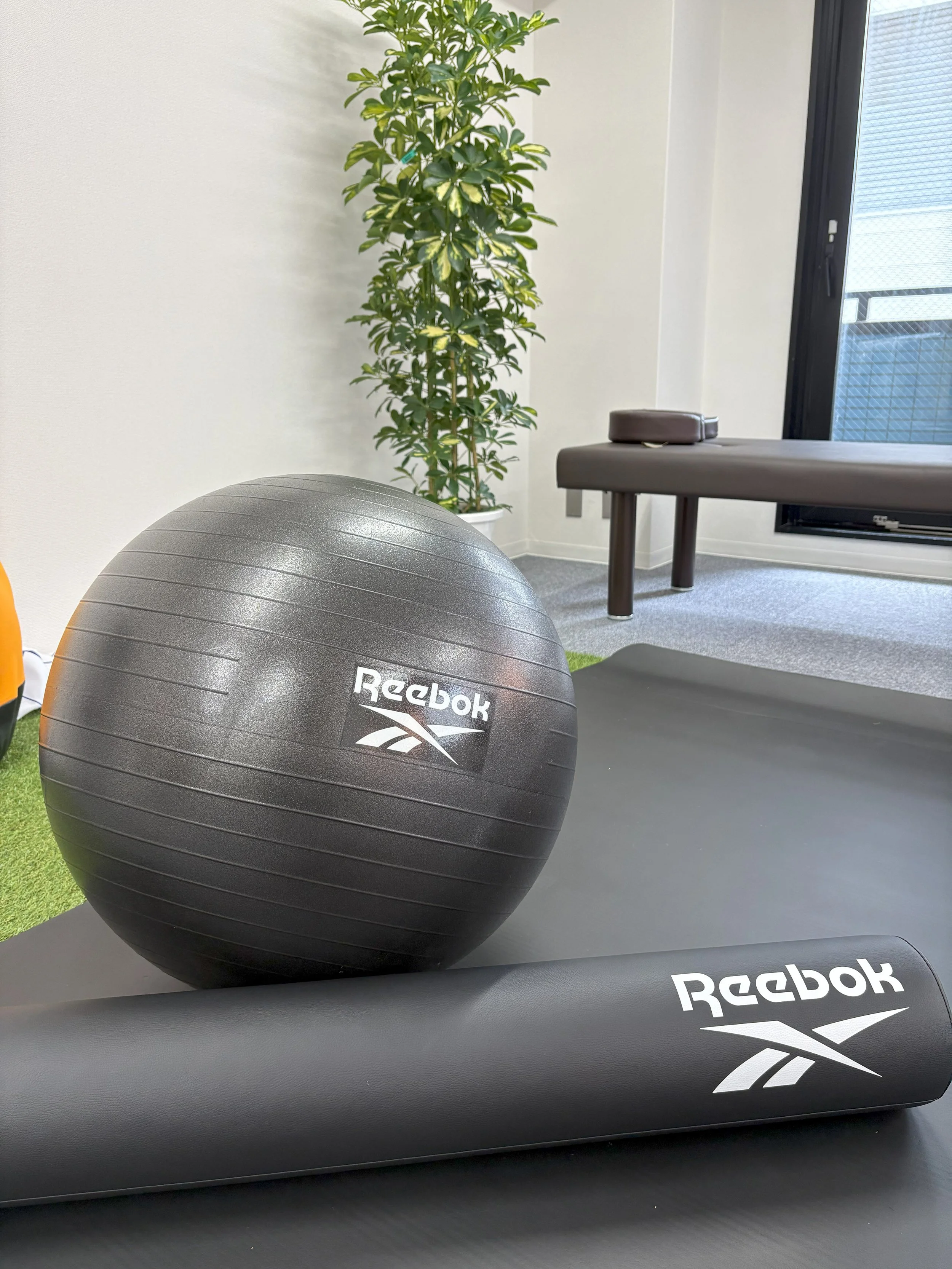 ヨガやフィットネス用のReebokブランドのバランスボールとマット、およびピンク色のバッグが置かれたジムの一室の風景。背景には植物と窓が見える。